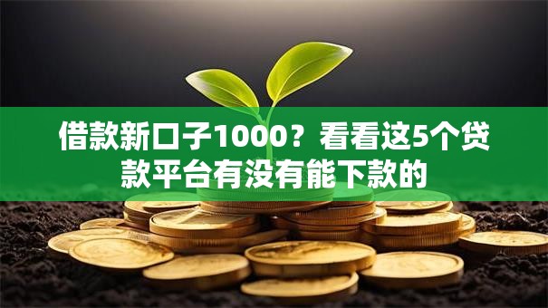 借款新口子1000?看看这5个贷款平台有没有能下款的 借款新口子1000?看看这5个贷款平台有没有能下款的