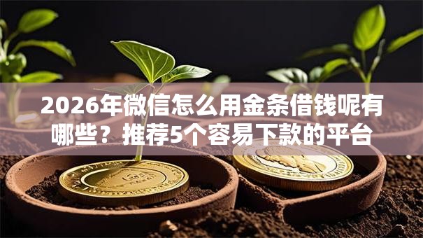 2026年微信怎么用金条借钱呢有哪些?推荐5个容易下款的平台 2026年微信怎么用金条借钱呢有哪些?推荐5个容易下款的平台