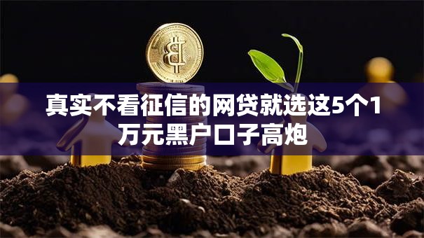 真实不看征信的网贷就选这5个1万元黑户口子高炮
