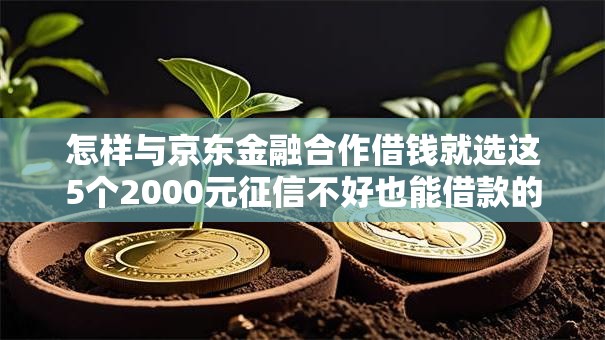 怎样与京东金融合作借钱就选这5个2000元征信不好也能借款的平台 怎样与京东金融合作借钱就选这5个2000元征信不好也能借款的平台