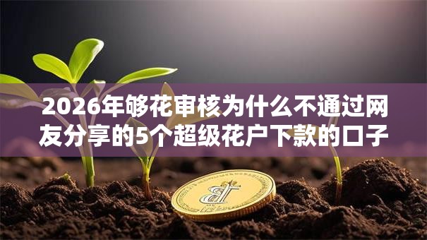 2026年够花审核为什么不通过网友分享的5个超级花户下款的口子我觉得不错！