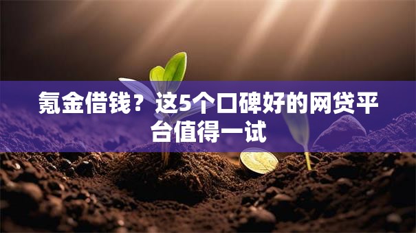 氪金借钱？这5个口碑好的网贷平台值得一试