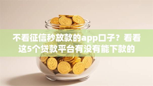 不看征信秒放款的app口子？看看这5个贷款平台有没有能下款的