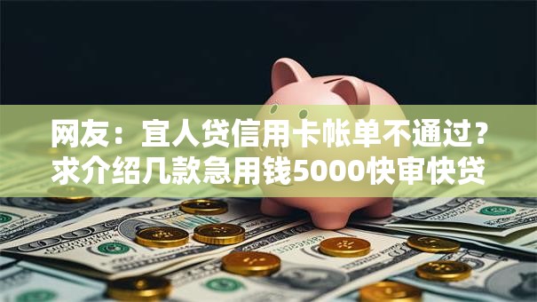 网友：宜人贷信用卡帐单不通过？求介绍几款急用钱5000快审快贷无需征信软件