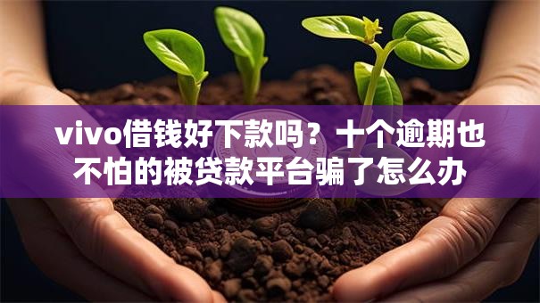 vivo借钱好下款吗？十个逾期也不怕的被贷款平台骗了怎么办