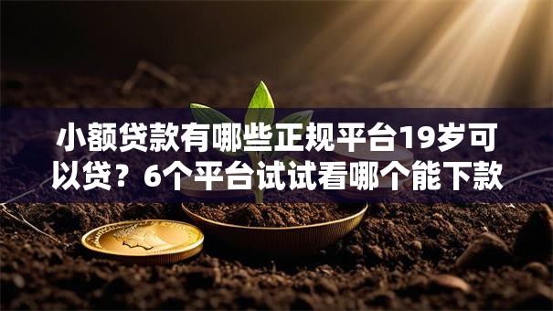 小额贷款有哪些正规平台19岁可以贷?6个平台试试看哪个能下款 小额贷款有哪些正规平台19岁可以贷?6个平台试试看哪个能下款