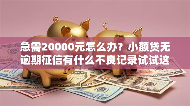 急需20000元怎么办?小额贷无逾期征信有什么不良记录试试这6个无门槛平台 急需20000元怎么办?小额贷无逾期征信有什么不良记录试试这6个无门槛平台