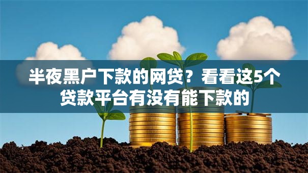 半夜黑户下款的网贷？看看这5个贷款平台有没有能下款的