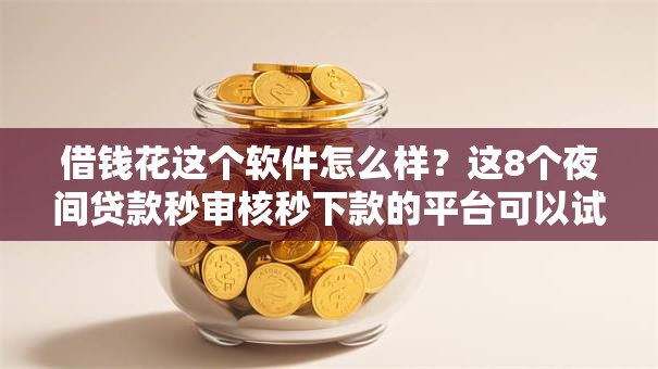 借钱花这个软件怎么样？这8个夜间贷款秒审核秒下款的平台可以试试