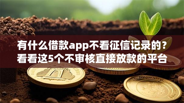 有什么借款app不看征信记录的?看看这5个不审核直接放款的平台怎么样 有什么借款app不看征信记录的?看看这5个不审核直接放款的平台怎么样