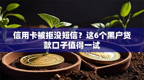 信用卡被拒没短信?这6个黑户贷款口子值得一试 信用卡被拒没短信?这6个黑户贷款口子值得一试
