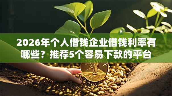 2026年个人借钱企业借钱利率有哪些？推荐5个容易下款的平台