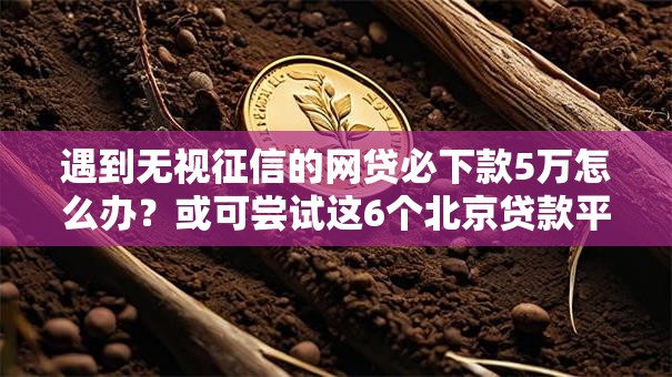 遇到无视征信的网贷必下款5万怎么办?或可尝试这6个北京贷款平台 遇到无视征信的网贷必下款5万怎么办?或可尝试这6个北京贷款平台