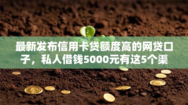 最新发布信用卡贷额度高的网贷口子,私人借钱5000元有这5个渠道 最新发布信用卡贷额度高的网贷口子,私人借钱5000元有这5个渠道