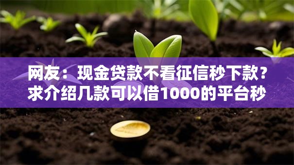 网友：现金贷款不看征信秒下款？求介绍几款可以借1000的平台秒下款