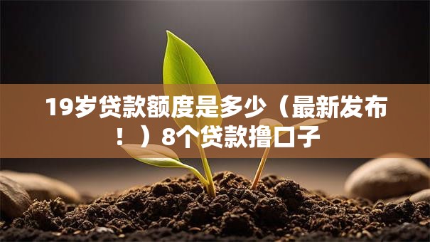 19岁贷款额度是多少(最新发布!)8个贷款撸口子 19岁贷款额度是多少(最新发布!)8个贷款撸口子