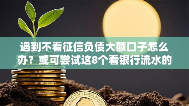 遇到不看征信负债大额口子怎么办？或可尝试这8个看银行流水的网贷平台