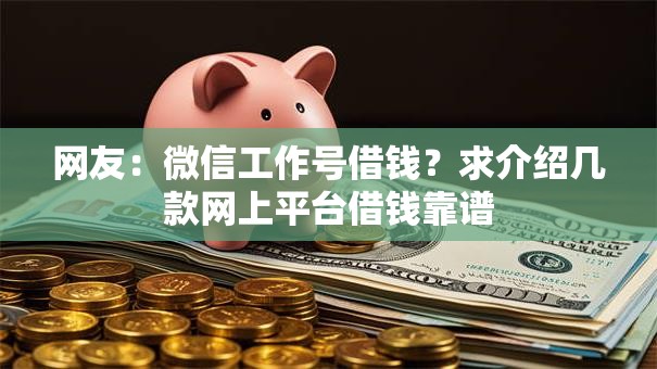 网友：微信工作号借钱？求介绍几款网上平台借钱靠谱