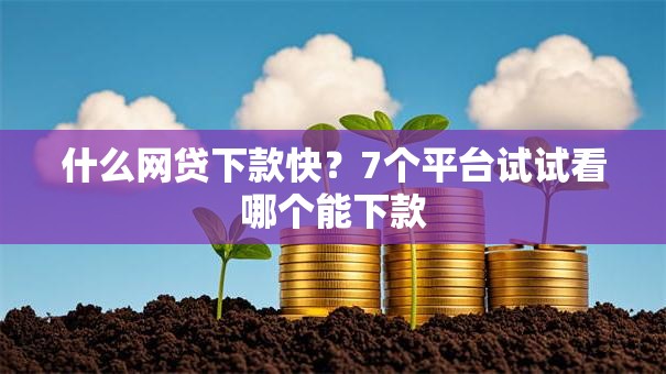 什么网贷下款快?7个平台试试看哪个能下款 什么网贷下款快?7个平台试试看哪个能下款