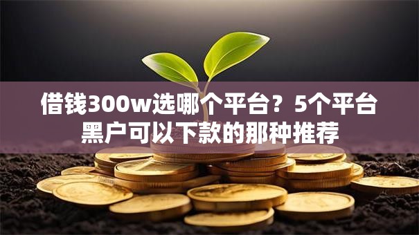 借钱300w选哪个平台?5个平台黑户可以下款的那种推荐 借钱300w选哪个平台?5个平台黑户可以下款的那种推荐