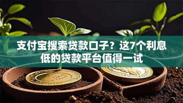 支付宝搜索贷款口子?这7个利息低的贷款平台值得一试 支付宝搜索贷款口子?这7个利息低的贷款平台值得一试