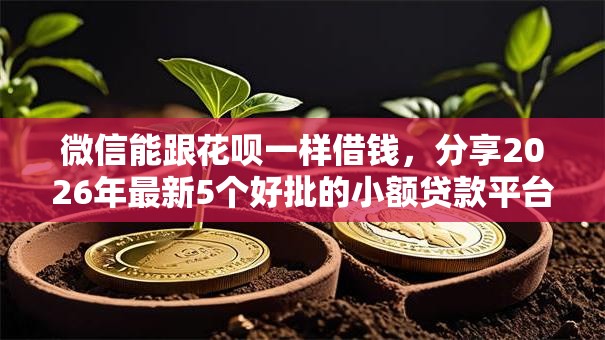 微信能跟花呗一样借钱，分享2026年最新5个好批的小额贷款平台