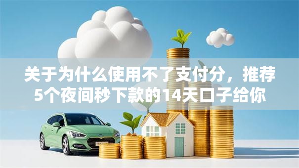 关于为什么使用不了支付分，推荐5个夜间秒下款的14天口子给你