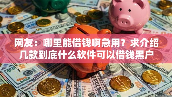网友：哪里能借钱啊急用？求介绍几款到底什么软件可以借钱黑户