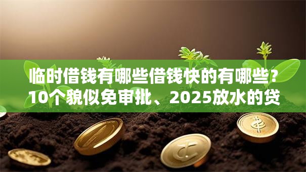 临时借钱有哪些借钱快的有哪些?10个貌似免审批、2025放水的贷款口子合集 临时借钱有哪些借钱快的有哪些?10个貌似免审批、2025放水的贷款口子合集