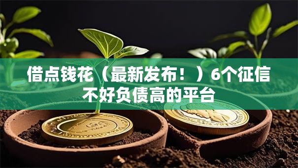 借点钱花（最新发布！）6个征信不好负债高的平台