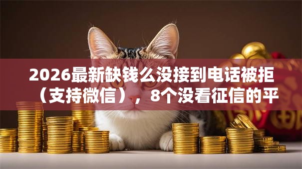 2026最新缺钱么没接到电话被拒（支持微信），8个没看征信的平台无私分享