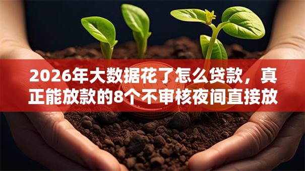 2026年大数据花了怎么贷款，真正能放款的8个不审核夜间直接放款的网贷平台推荐