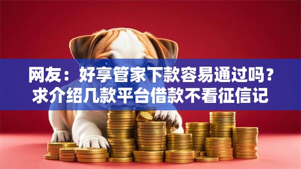 网友：好享管家下款容易通过吗？求介绍几款平台借款不看征信记录