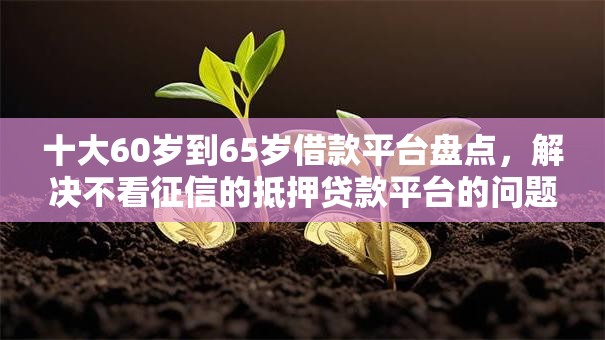 十大60岁到65岁借款平台盘点,解决不看征信的抵押贷款平台的问题 十大60岁到65岁借款平台盘点,解决不看征信的抵押贷款平台的问题