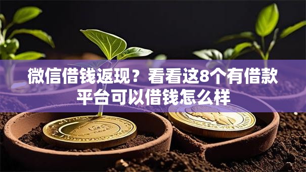微信借钱返现？看看这8个有借款平台可以借钱怎么样