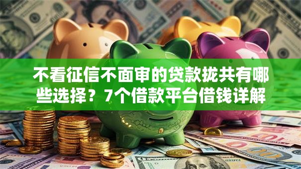 不看征信不面审的贷款拢共有哪些选择？7个借款平台借钱详解