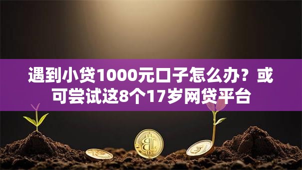 遇到小贷1000元口子怎么办？或可尝试这8个17岁网贷平台