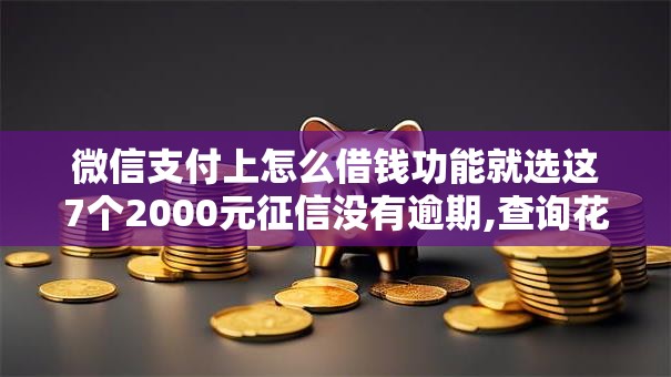 微信支付上怎么借钱功能就选这7个2000元征信没有逾期,查询花了,能贷款的平台 微信支付上怎么借钱功能就选这7个2000元征信没有逾期,查询花了,能贷款的平台