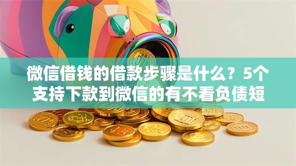 微信借钱的借款步骤是什么？5个支持下款到微信的有不看负债短借的平台