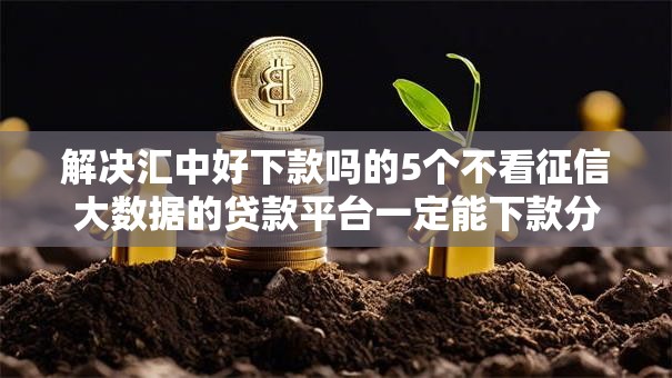 解决汇中好下款吗的5个不看征信大数据的贷款平台一定能下款分享