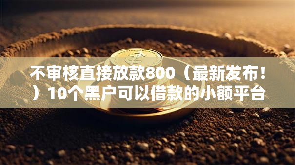 不审核直接放款800（最新发布！）10个黑户可以借款的小额平台