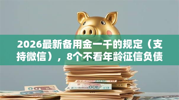 2026最新备用金一千的规定（支持微信），8个不看年龄征信负债的平台无私分享