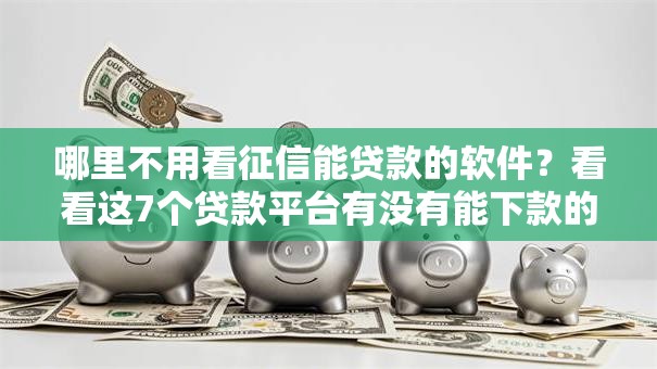 哪里不用看征信能贷款的软件？看看这7个贷款平台有没有能下款的