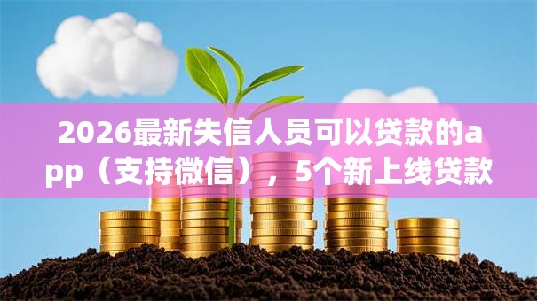 2026最新失信人员可以贷款的app（支持微信），5个新上线贷款平台门槛低app无私分享