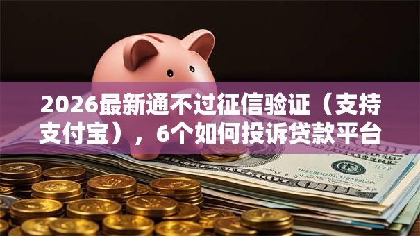 2026最新通不过征信验证（支持支付宝），6个如何投诉贷款平台无私分享