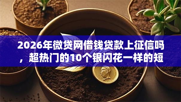 2026年微贷网借钱贷款上征信吗，超热门的10个银闪花一样的短期平台推荐