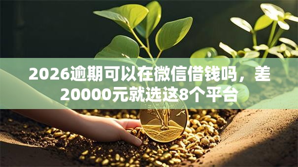 2026逾期可以在微信借钱吗，差20000元就选这8个平台