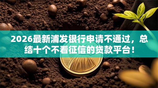 2026最新浦发银行申请不通过，总结十个不看征信的贷款平台！