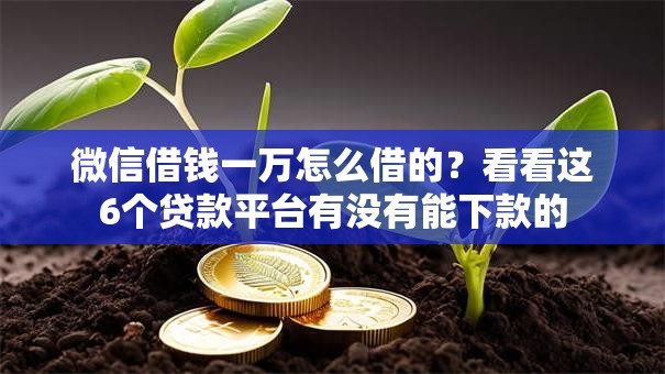 微信借钱一万怎么借的?看看这6个贷款平台有没有能下款的 微信借钱一万怎么借的?看看这6个贷款平台有没有能下款的
