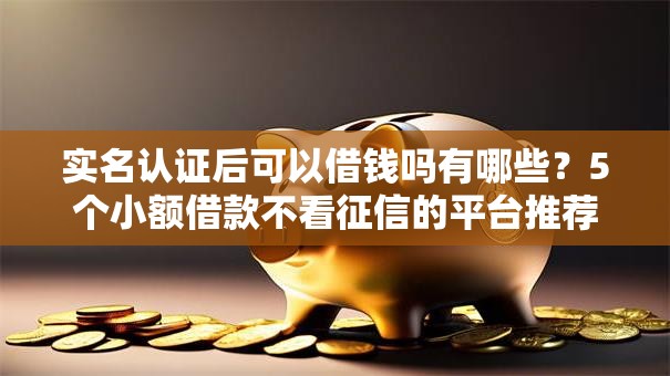 实名认证后可以借钱吗有哪些？5个小额借款不看征信的平台推荐给你